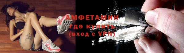 твердый Краснослободск