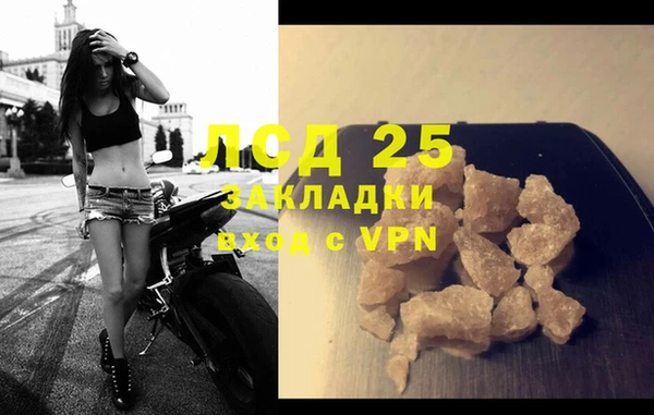твердый Краснослободск