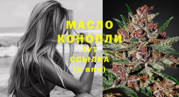 твердый Краснослободск