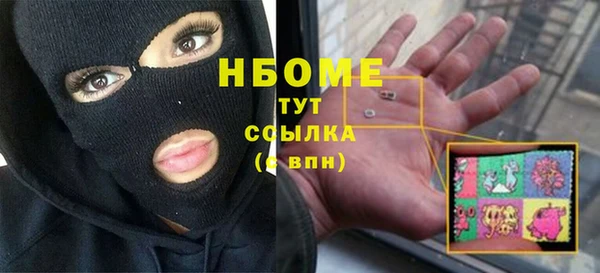 твердый Краснослободск