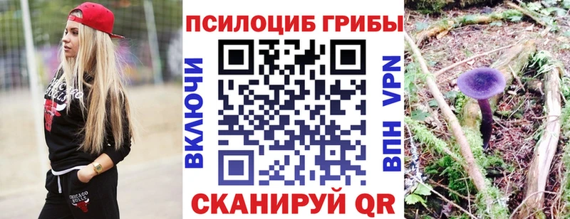 Псилоцибиновые грибы Psilocybine cubensis  Учалы 